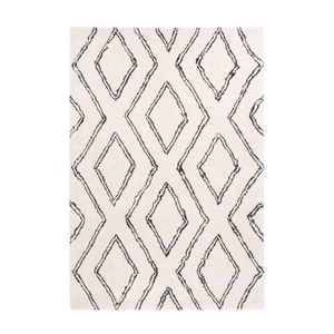 KOBEREC S VYSOKÝM VLASEM, 80/150 cm, bílá obraz