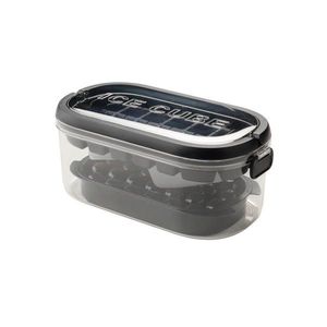 FORMA NA KOSTKY LEDU obraz