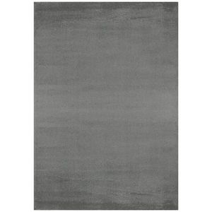 TKANÝ KOBEREC, 80/150 cm, barvy stříbra obraz