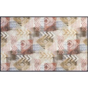 wash+dry DVEŘNÍ ROHOŽKA, 75/120 cm, béžová, světle hnědá obraz