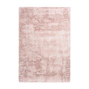 KOBEREC S VYSOKÝM VLASEM, 80/150 cm, růžová obraz