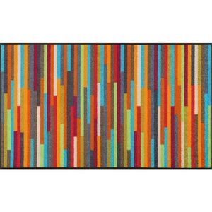 wash+dry DVEŘNÍ ROHOŽKA, 75/120 cm obraz