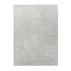 TKANÝ KOBEREC, barvy stříbra obraz