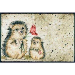 Esposa DVEŘNÍ ROHOŽKA, 40/60 cm obraz