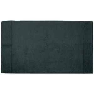 Bio: Vio KOUPELNOVÁ PŘEDLOŽKA, 60/100 cm obraz