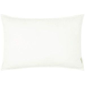 Esposa DEKORAČNÍ POLŠTÁŘ 60/40 cm obraz