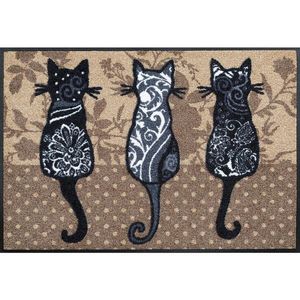 Esposa DVEŘNÍ ROHOŽKA, 50/75 cm obraz