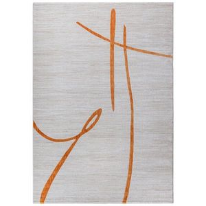 Novel TKANÝ KOBEREC, 120/170 cm, obraz