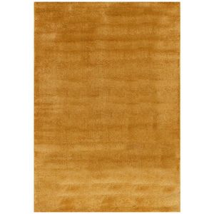 TKANÝ KOBEREC, 80/150 cm, barvy zlata obraz