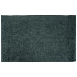 Bio: Vio KOUPELNOVÁ PŘEDLOŽKA, 70/120 cm obraz