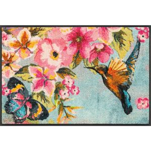 wash+dry DVEŘNÍ ROHOŽKA, 50/75 cm obraz