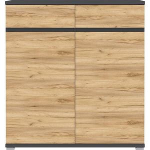 BOTNÍK, antracitová, barvy dubu, 96/103/40 cm obraz