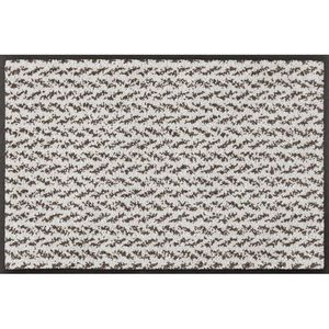 wash+dry DVEŘNÍ ROHOŽKA, 40/60 cm, béžová obraz