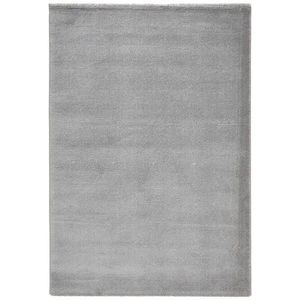 Novel TKANÝ KOBEREC, 120/170 cm, barvy stříbra obraz
