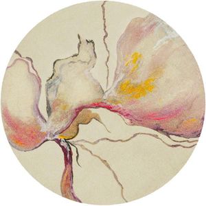 wash+dry KOBEREC TKANÝ NA PLOCHO, 120 cm béžová obraz