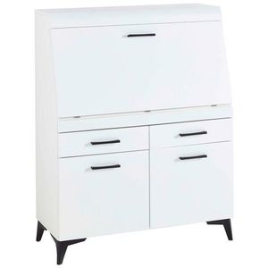 Carryhome SEKRETÁŘ, 98/124/42 cm obraz