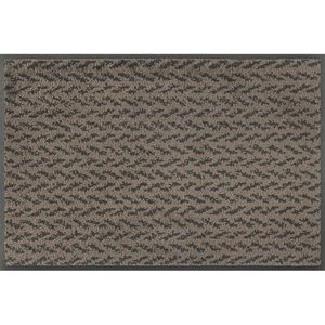 wash+dry DVEŘNÍ ROHOŽKA, 40/60 cm, hnědá obraz