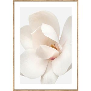 Monee TIŠTĚNÉ OBRAZY NA PLÁTNĚ, květiny, 51, 2/71, 2 cm obraz