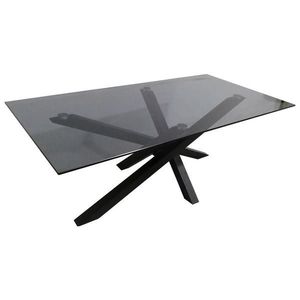 Xora KONFERENČNÍ STOLEK, šedá, černá, kov, sklo, 120/60/45 cm obraz
