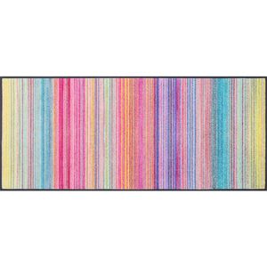 wash+dry BĚHOUN, 60/140 cm, vícebarevná obraz