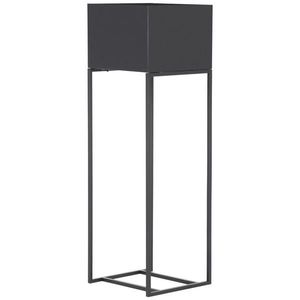 Landscape STOJAN NA KVĚTINY, černá obraz