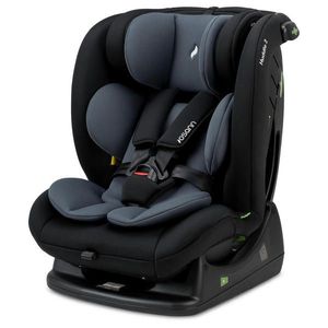 Osann OTOČNÁ AUTOSEDAČKA obraz