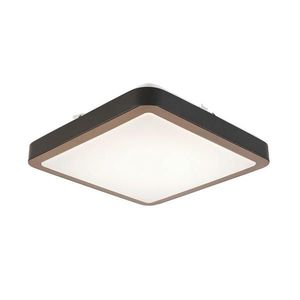 Novel STROPNÍ LED SVÍTIDLO, 37/37/8 cm obraz