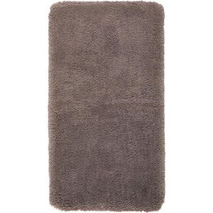 Boxxx KOBEREC S VYSOKÝM VLASEM, 60/110 cm, šedavě hnědá obraz