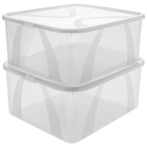 Rotho SADA ÚLOŽNÝCH BOXŮ 2 ks 19 l obraz