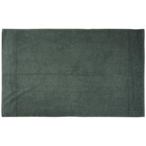 Bio: Vio KOUPELNOVÁ PŘEDLOŽKA, 70/120 cm obraz