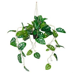 MID.YOU UMĚLÁ ROSTLINA monstera obraz