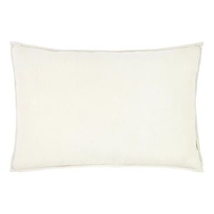 Esposa DEKORAČNÍ POLŠTÁŘ 60/40 cm obraz