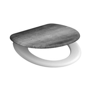 Eisl Duroplastové sedátko se zpomalovacím mechanismem SOFT-CLOSE INDUSTRIAL GREY 82155INDUSTRIALGREY obraz