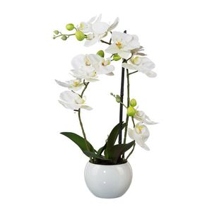 Umělá Orchidej v květináči, 42 cm obraz
