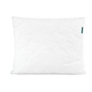 Wendre Polštář Aloe Vera, 70 x 80 cm obraz