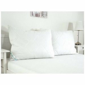 B.E.S. Petrovice Polštář Bella Optimal Aloe vera, 70 x 90 cm obraz