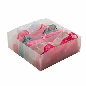 Compactor Organizer do zásuvky na spodní prádlo Optimo, 6 přihrádek obraz