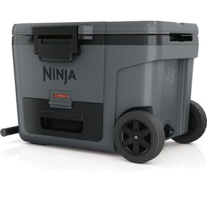 Ninja FB245EUGY chladicí box Frost Vault Wheeled, 42 l obraz