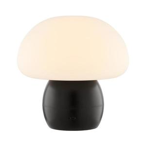 Brilliant - LED Stmívatelná nabíjecí stolní lampa DUPIS LED/2W/5V 2700K černá G60230/76 obraz