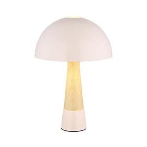 Glóbus, béžová obraz