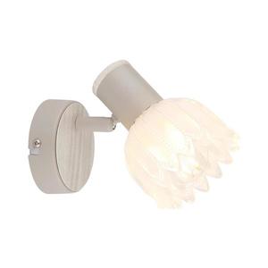 Globo 54317-1 - Nástěnné bodové svítidlo PLANTA 1xE14/40W/230V 54317-1 obraz