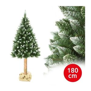Vánoční stromek na kmenu 180 cm borovice EL-SODPRP180 obraz