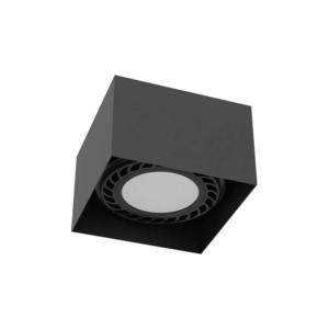 - Brosline 1267 - Bodové svítidlo CAGE 1xGU10/18W/230V černá 1267 obraz
