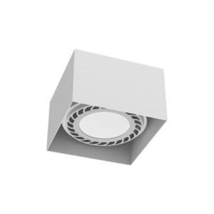 - Brosline 1268 - Bodové svítidlo CAGE 1xGU10/18W/230V bílá 1268 obraz