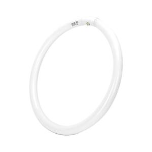 B.V. Zářivková trubice T9 G24q-1/40W/230V 6500K - B10104JVH obraz