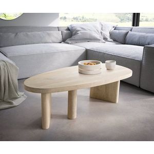 Konferenční stolek Wido 110x50 cm mango bílý wash obraz