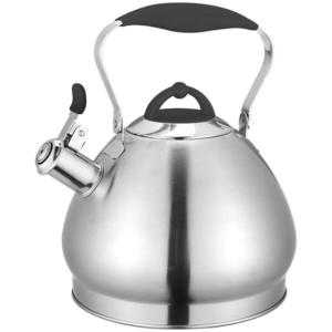 Čajník 4.3l ocelový rwk191 obraz