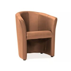 Signal Koktejlové křeslo AMENITIES hnědé obraz