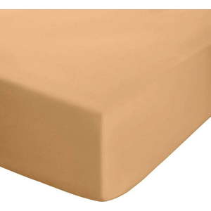 Žluté/oranžové napínací perkálové prostěradlo 135x190 cm Easy Iron Percale – Catherine Lansfield obraz