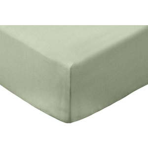 Zelené napínací prostěradlo z bavlněného perkálu 150x200 cm Cotton Percale – Bianca obraz